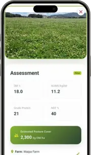 Pasture Ai app dashboard on a phone